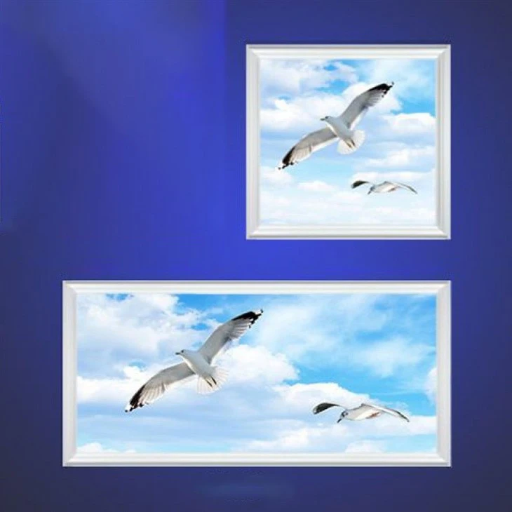 Wholesale Dimmable Sky Panel Light